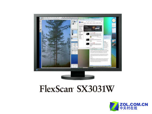 EIZO30FlexScan SX3031W(ͼ)