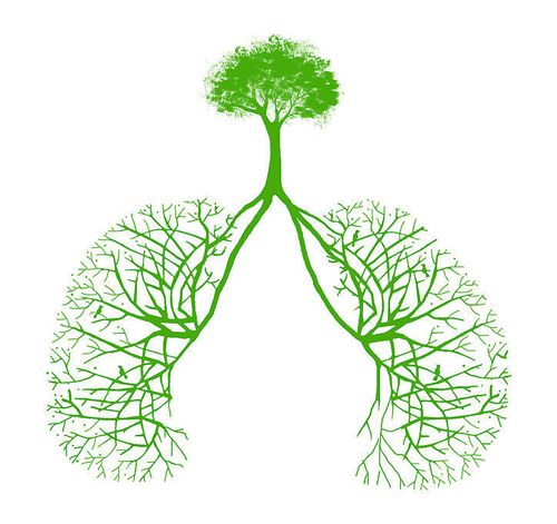 警惕空气污染伤身体 雾霾吸多了最伤肺?